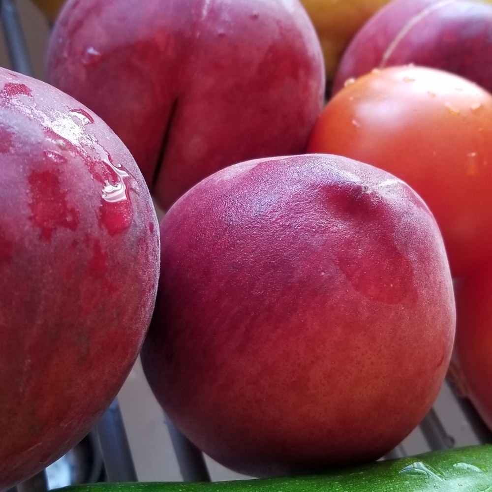 Meet your Posher, Debbie